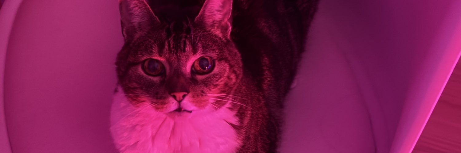 _______agoss's profile banner image