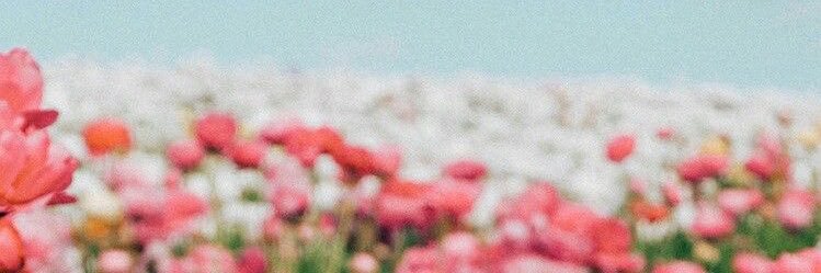 itnikkic's profile banner image