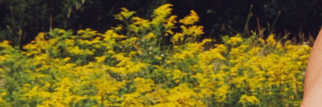 Elthandolan's profile banner image