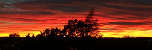 elvlil Profile Banner