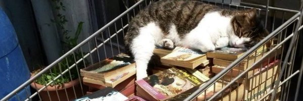 stylesgala Profile Banner