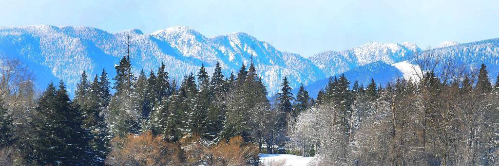 Langley Advance Times banner