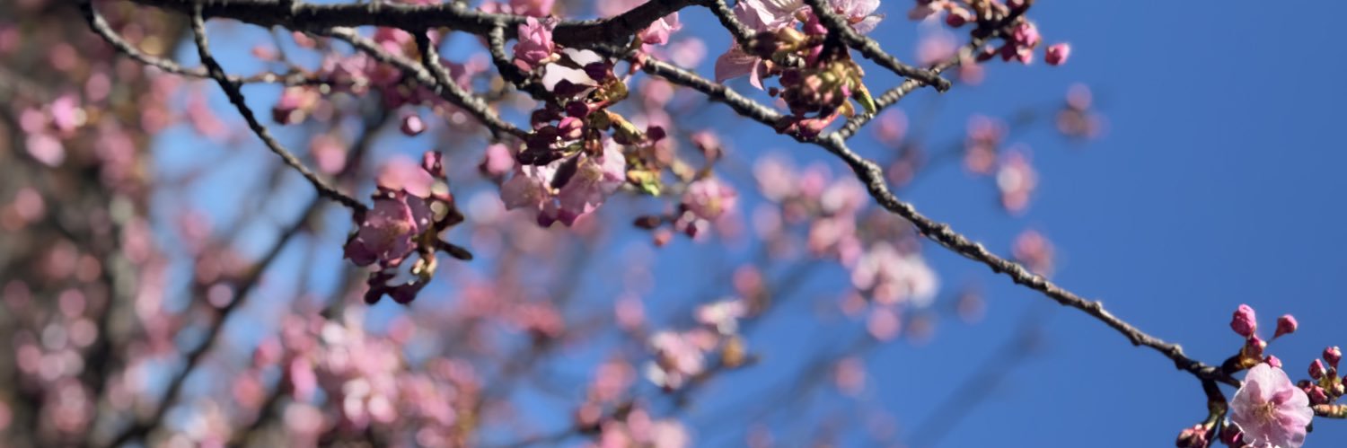 TJessicaE's profile banner image