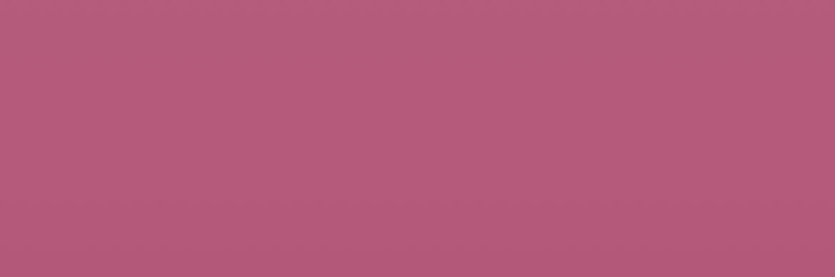 Mir_Zavala's profile banner image