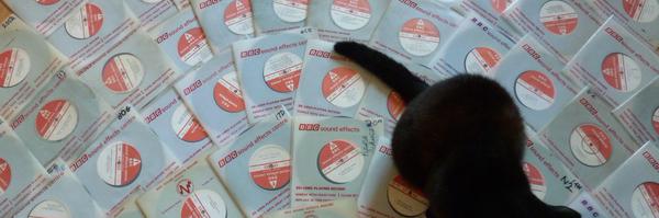 Oiche_ Profile Banner