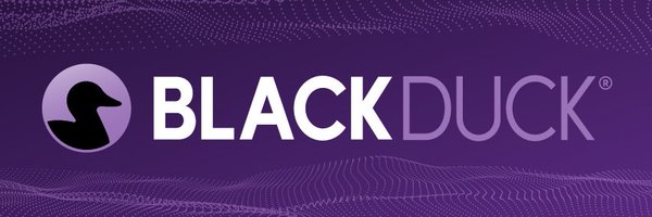 BlackDuck_SW Profile Banner