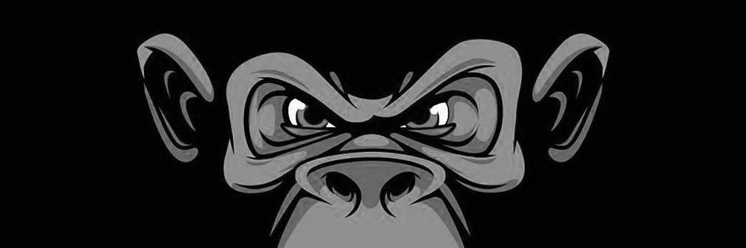 biiiimbz's profile banner image