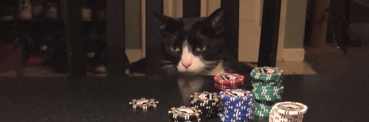 Michael Barnes banner