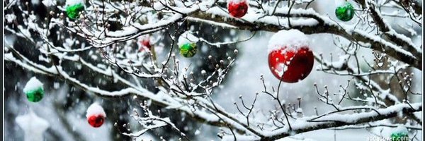 Badgergrl90 Profile Banner