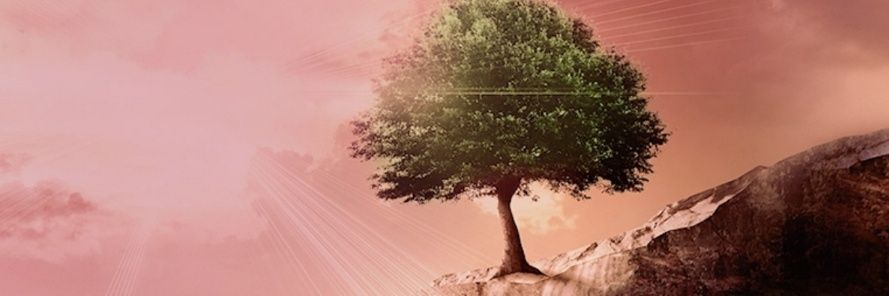 frostpak1's profile banner image