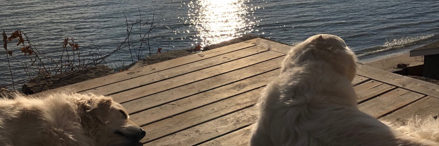 John Steigerwald banner