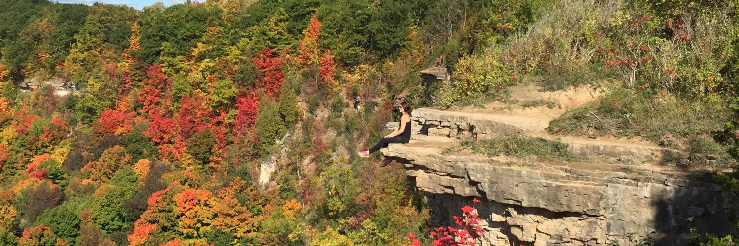 𝕋𝕣𝕒𝕔𝕪 𝔽𝕒𝕦𝕔𝕙𝕖𝕣 (she/her) banner