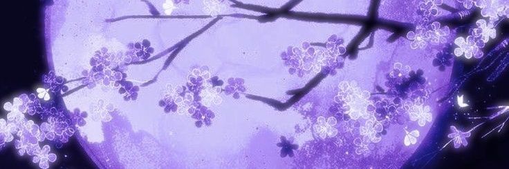 ‎ ‎𝑝𝑜𝑙𝑖𝑛𝑎.٭☽︎ banner