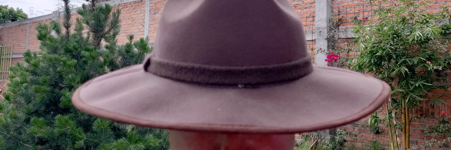 javierhdz's profile banner image