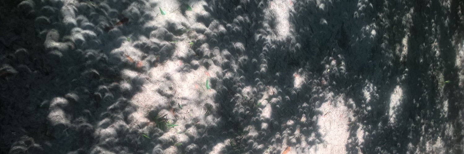 KeithMiller_'s profile banner image