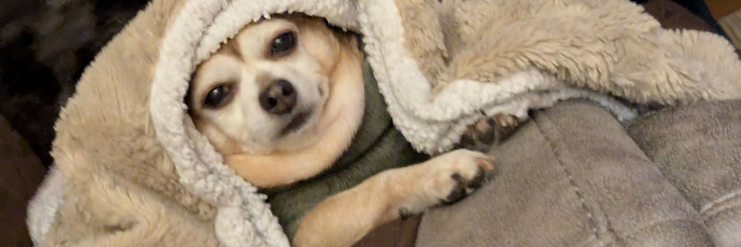 purtyGF's profile banner image