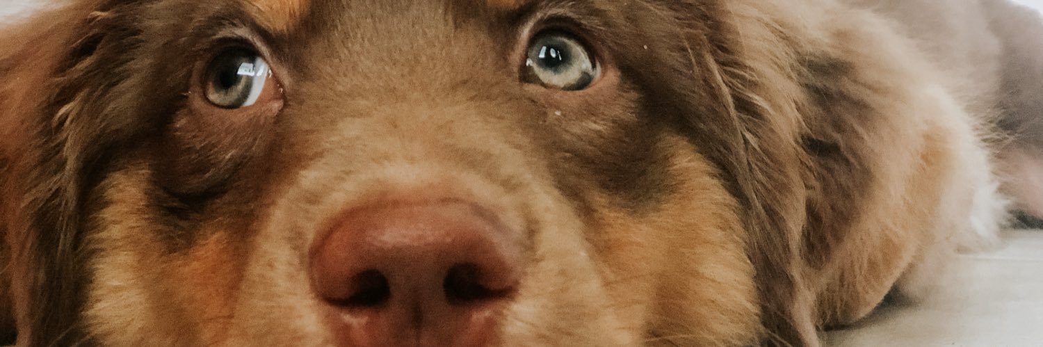 Alyssa__Cash's profile banner image