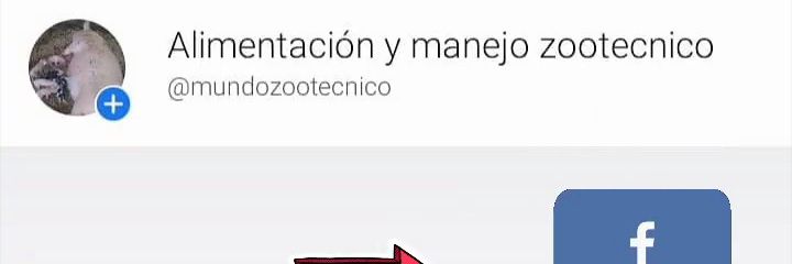 fernandoandre89's profile banner image