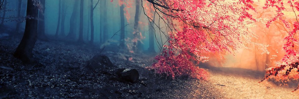 alexanderval89's profile banner image