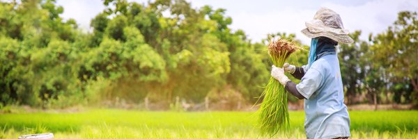 ILCAsia Profile Banner