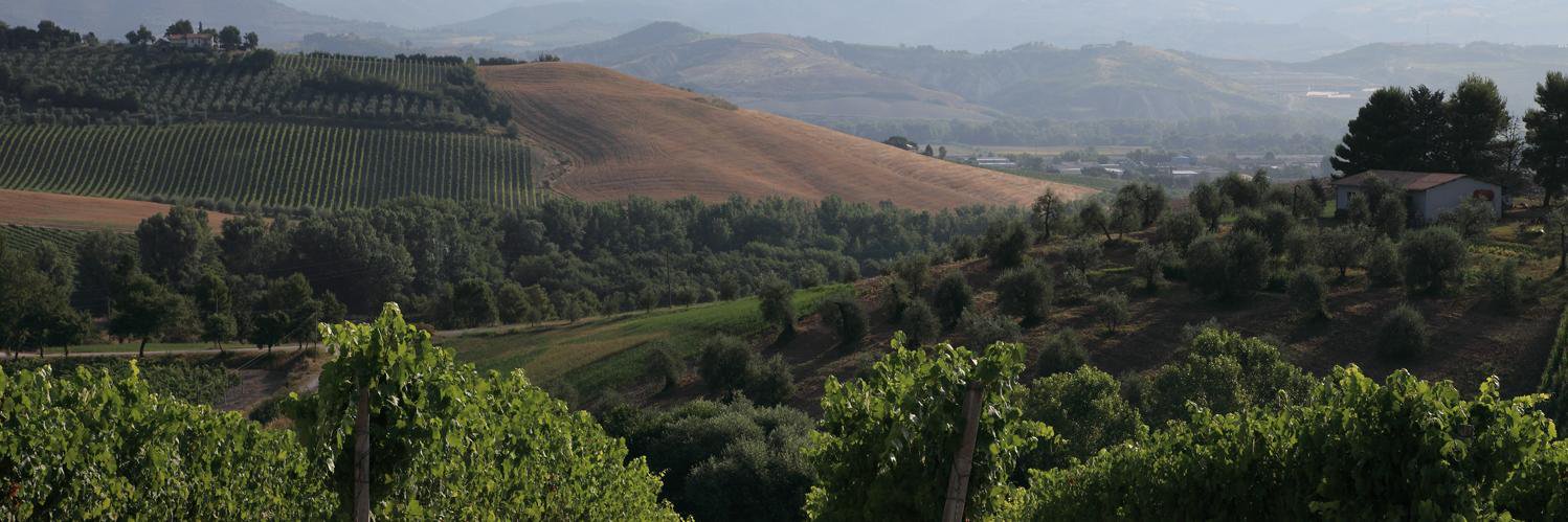 Umbria Wine Tours banner