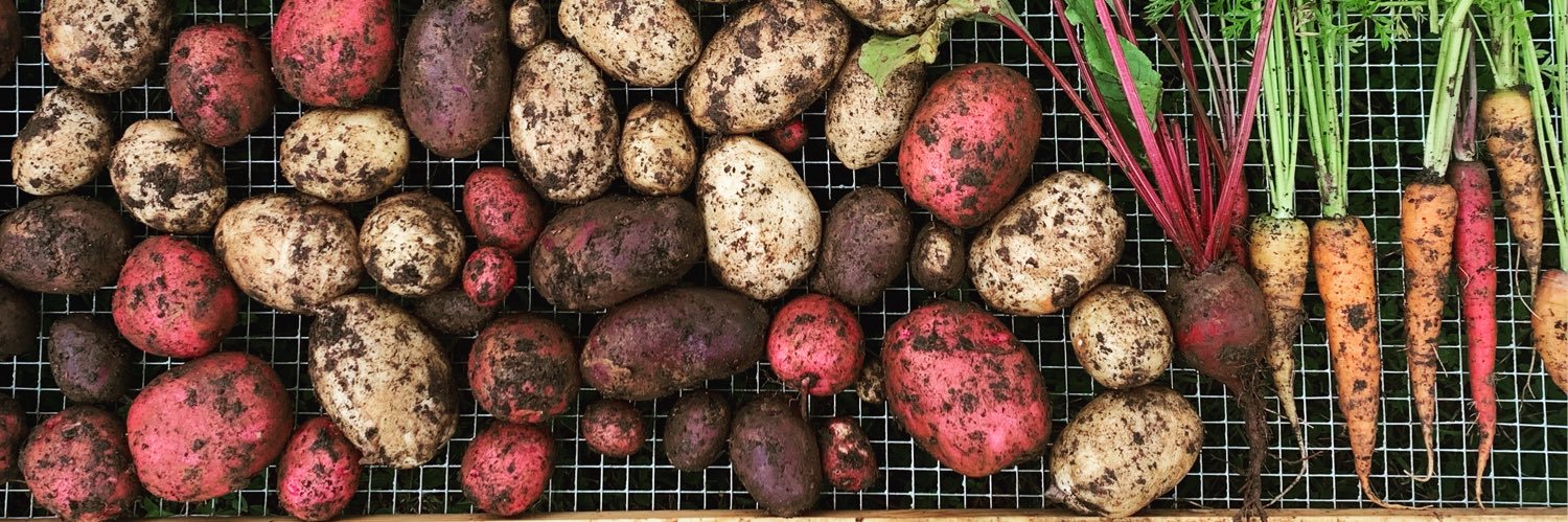 Madison Fratzke banner