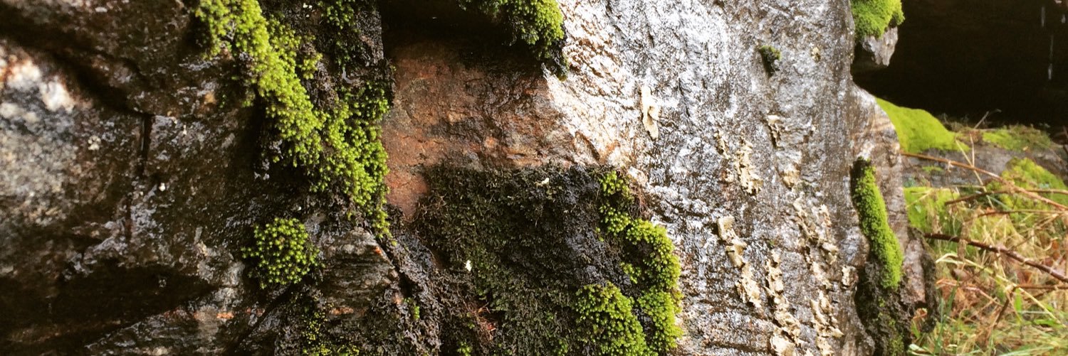 Sandercj32's profile banner image