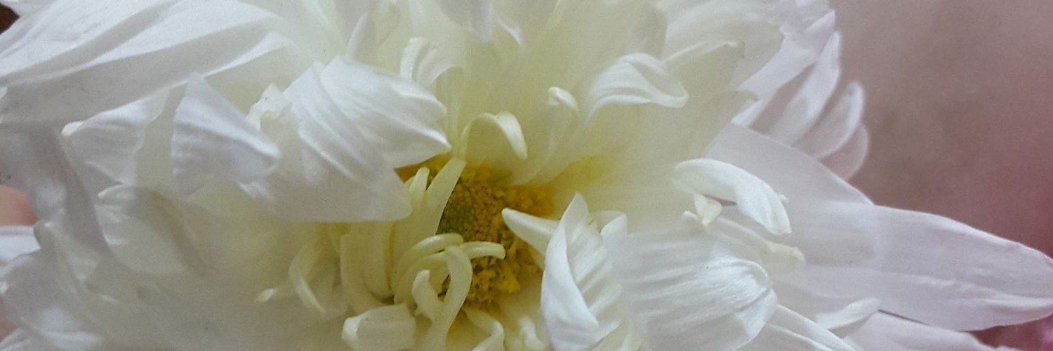 nooorhan88's profile banner image