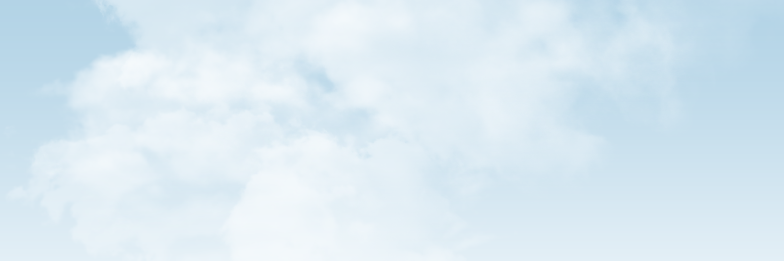 PS.NY banner