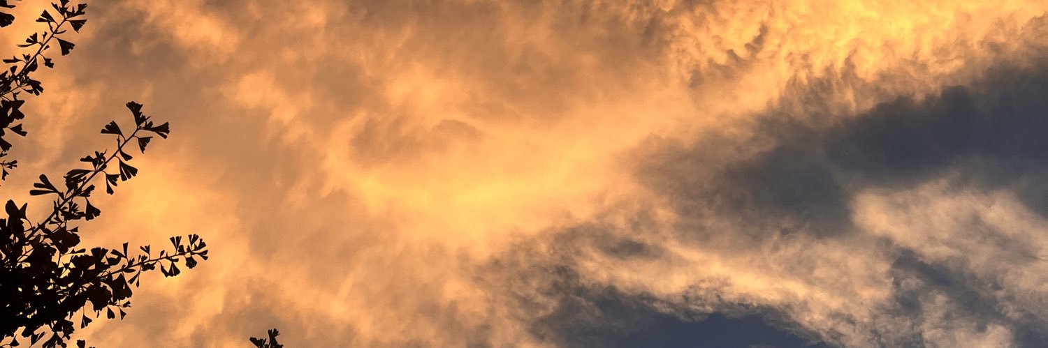 hellywellymelen's profile banner image