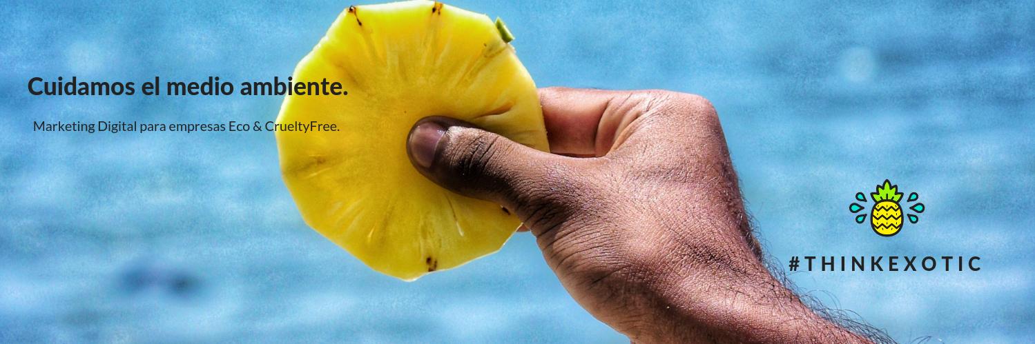 limonconchiamx's profile banner image