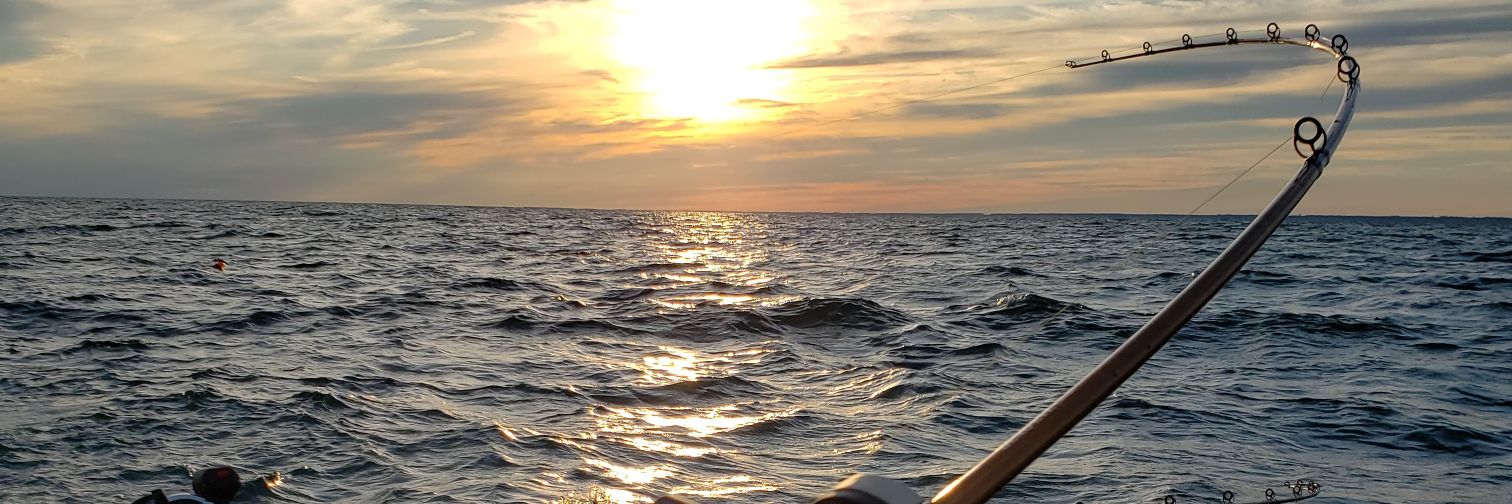 adair2525's profile banner image