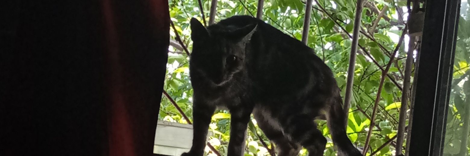 Kalasky25's profile banner image