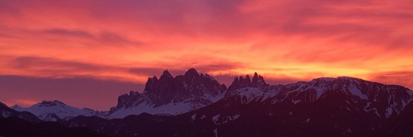 werner_wine Profile Banner