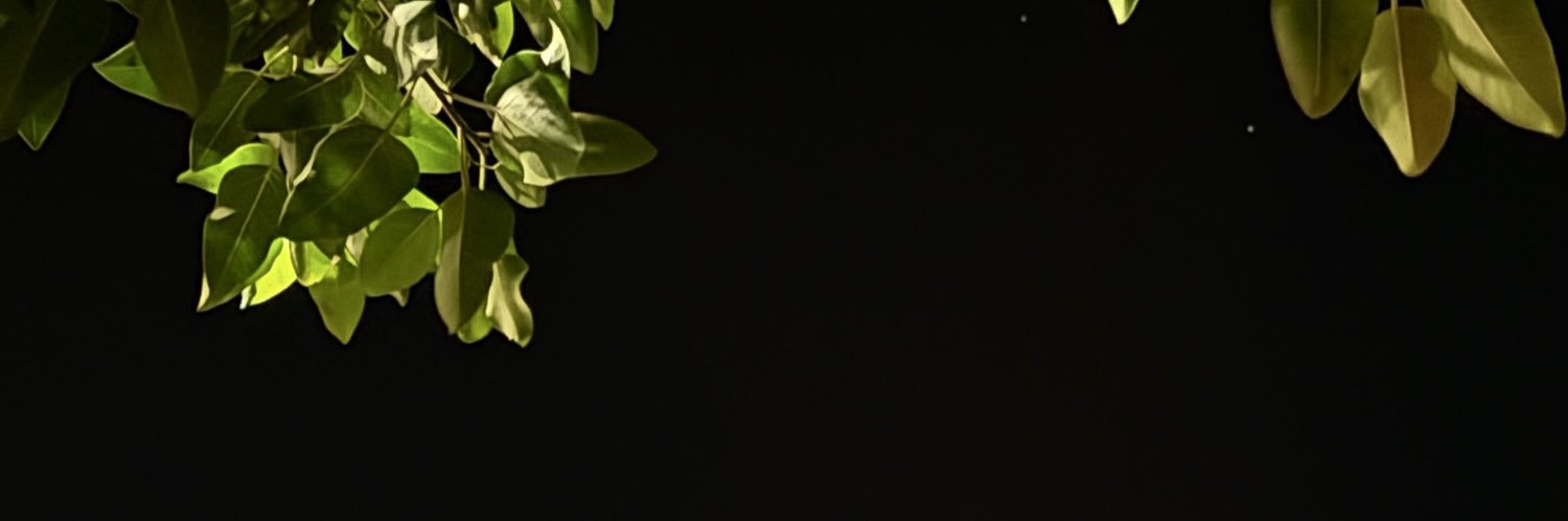 kusvli's profile banner image