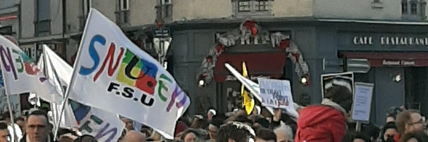 SNUEP-FSU LYON banner