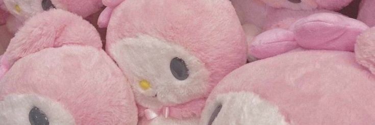 kiwiquwu's profile banner image