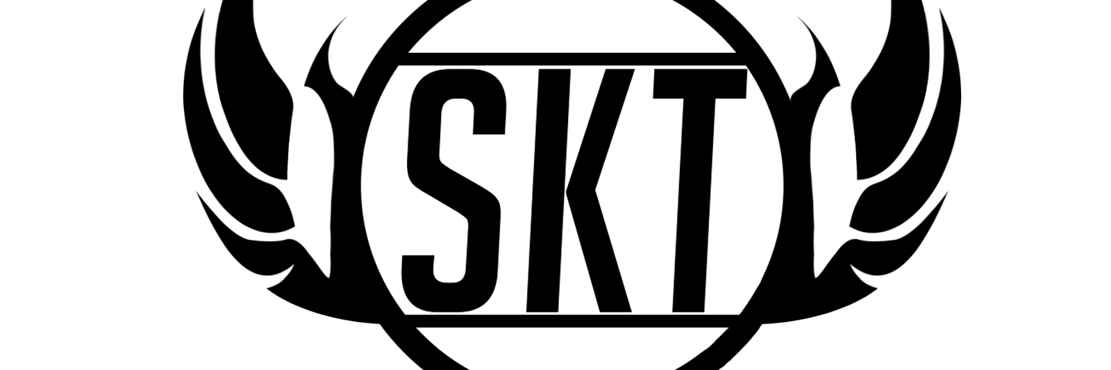 SktTeam2015's profile banner image