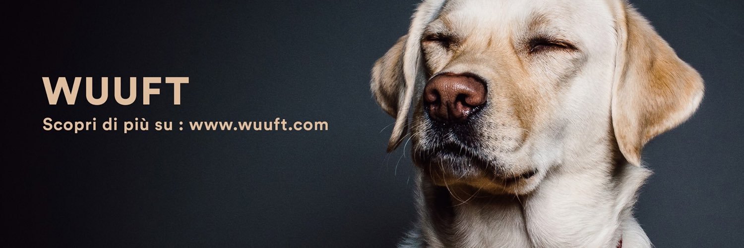 WUUFT_PET's profile banner image