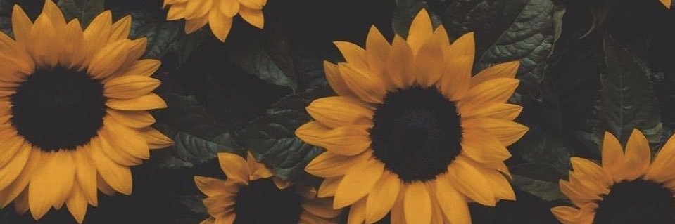 SAMCVII's profile banner image