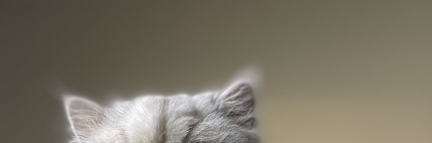 chidotle's profile banner image