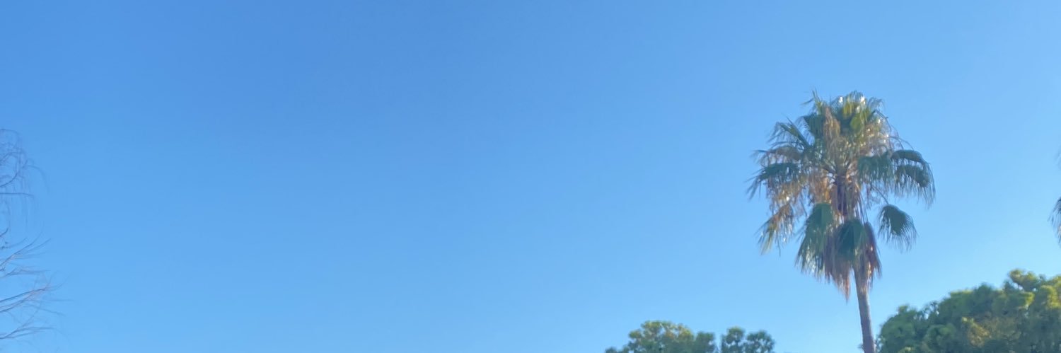 pedrojosevu's profile banner image