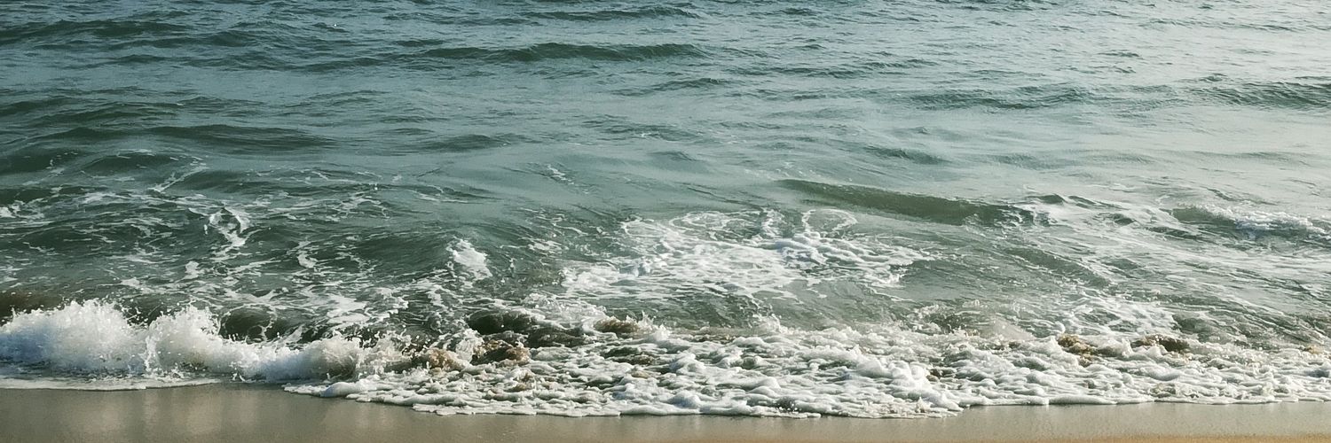 seittilelu's profile banner image