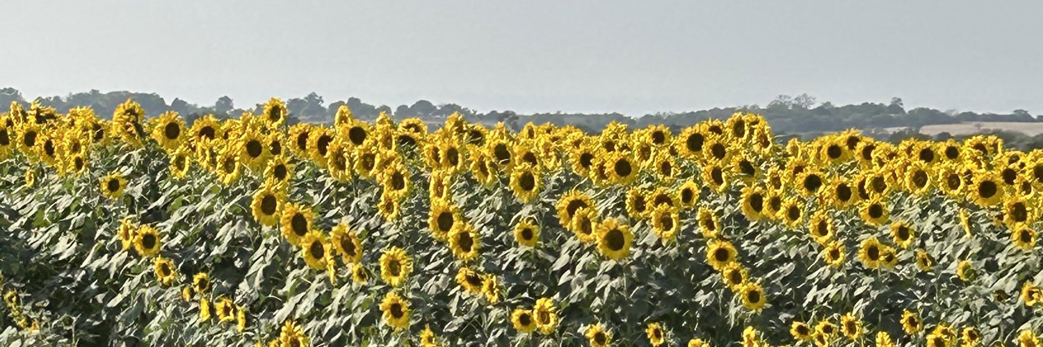 angelaachm's profile banner image