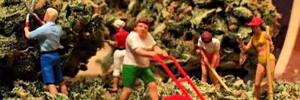 LuckDuckSheen's profile banner image