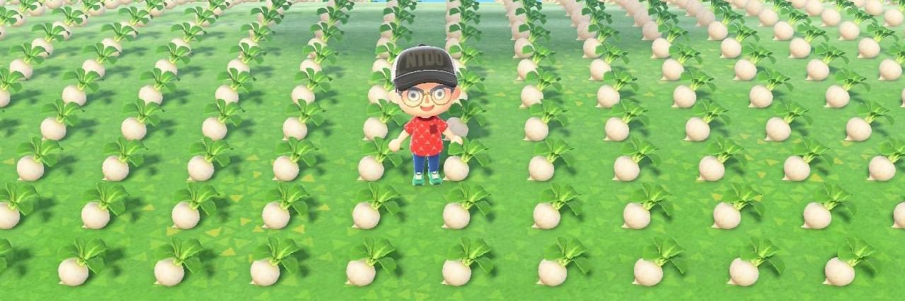 Brian Venisky banner