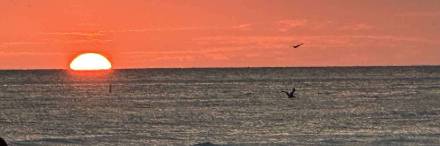 af8869's profile banner image