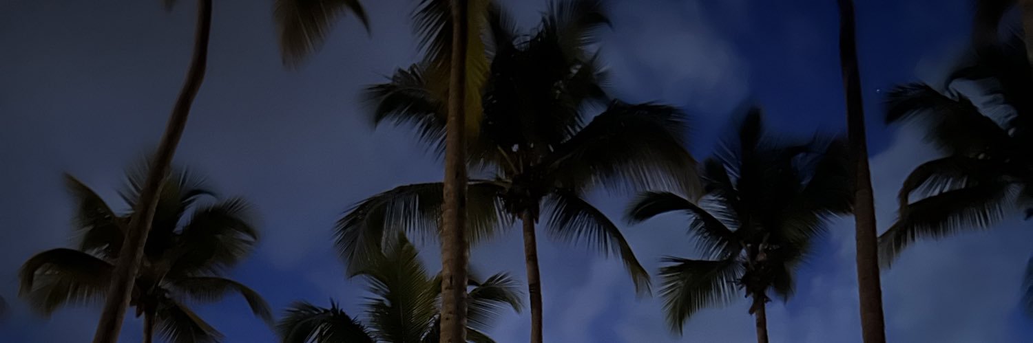 the IT girl 🗣 banner