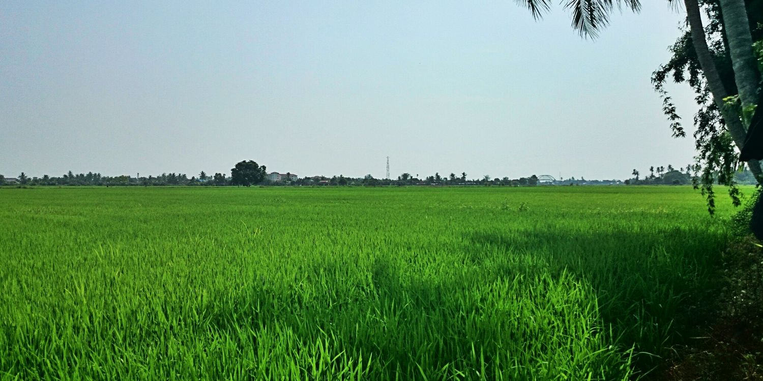 Putik_Padi's profile banner image