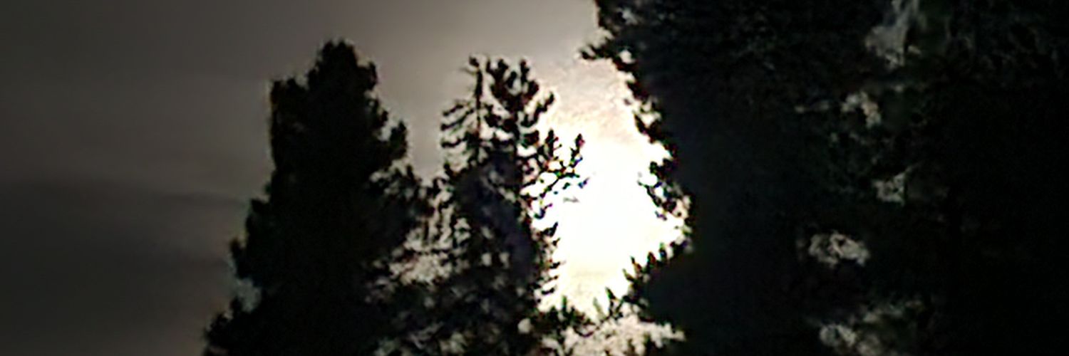 TripWilliams's profile banner image